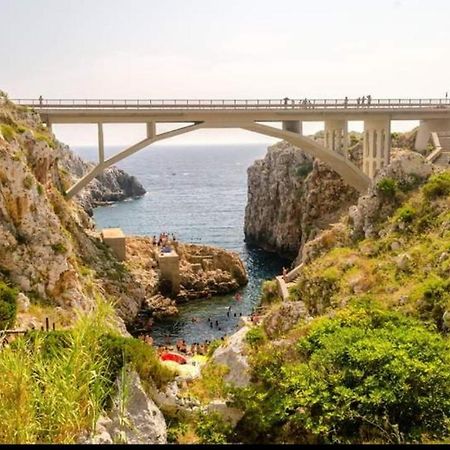 Casa Vacanze "Il Carrubo" Gagliano del Capo Zewnętrze zdjęcie
